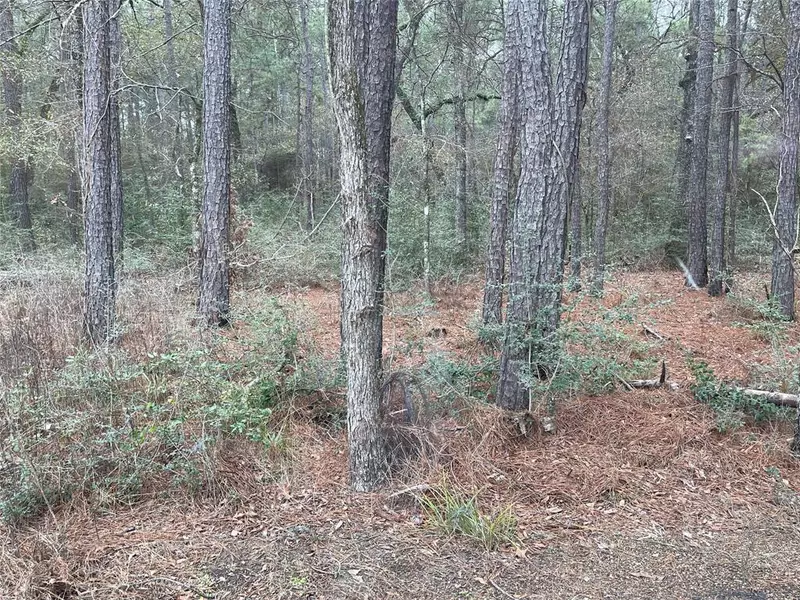 lot 19 Hackberry DR, Plantersville, TX 77363