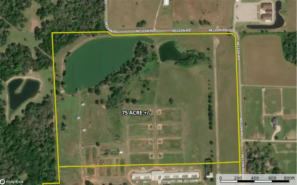 Hempstead, TX 77445,00002 Nelson Road