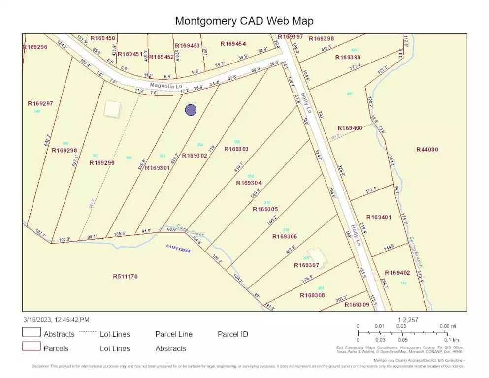 New Caney, TX 77357,Lot 353 Magnolia Lane