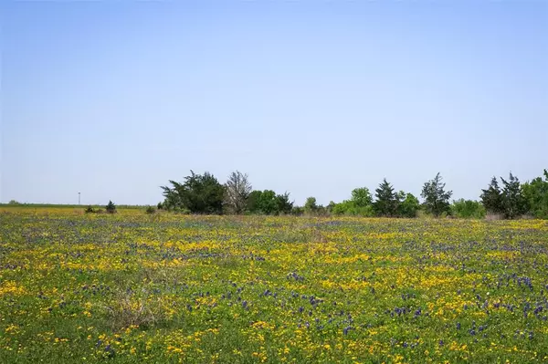 Chappell Hill, TX 77426,TRACT 3 Caney Creek Rd