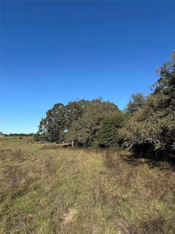 Rockdale, TX 76567,TBD County Road 314