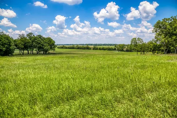 Washington, TX 77880,000 FM 2726 RD