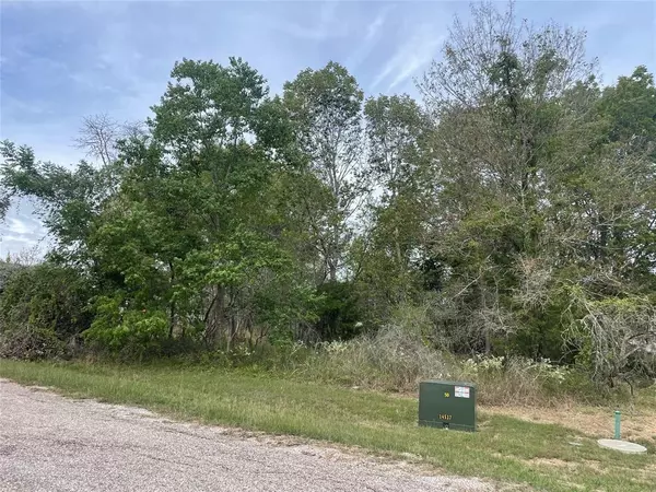 Coldspring, TX 77331,120 N Forest Cove LOOP