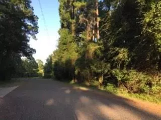 Magnolia, TX 77354,00 COUNTRY FOREST