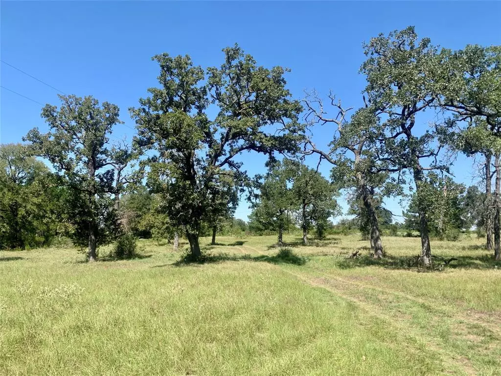 Bedias, TX 77831,000 County Road 137