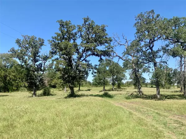 000 County Road 137, Bedias, TX 77831