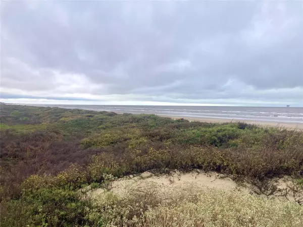 Crystal Beach, TX 77650,697 Overlook DR