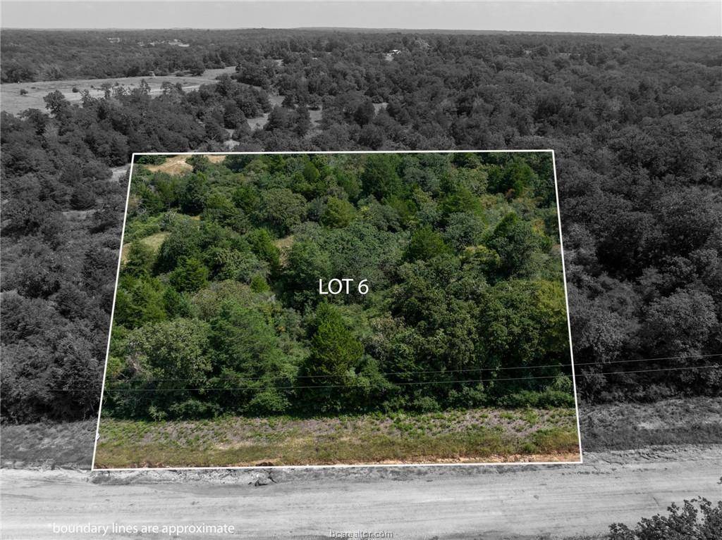 Hilltop Lakes, TX 77871,Lots 4-6 Ranch Road DR