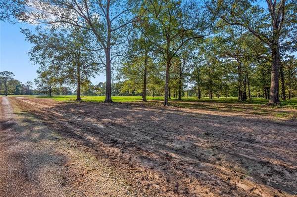 6087 Alans Memorial LN, New Waverly, TX 77358