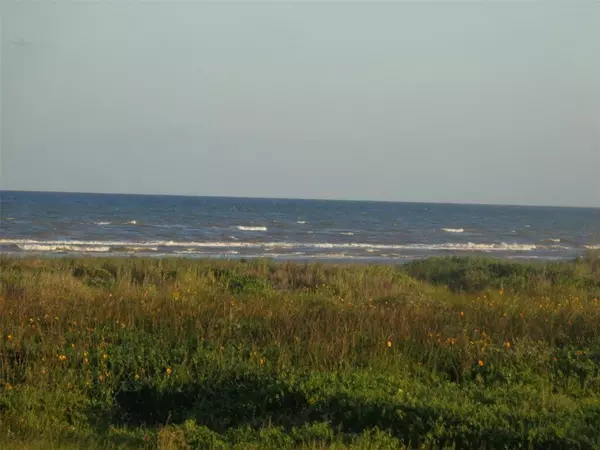 Galveston, TX 77554,TR 47 San Luis Pass RD