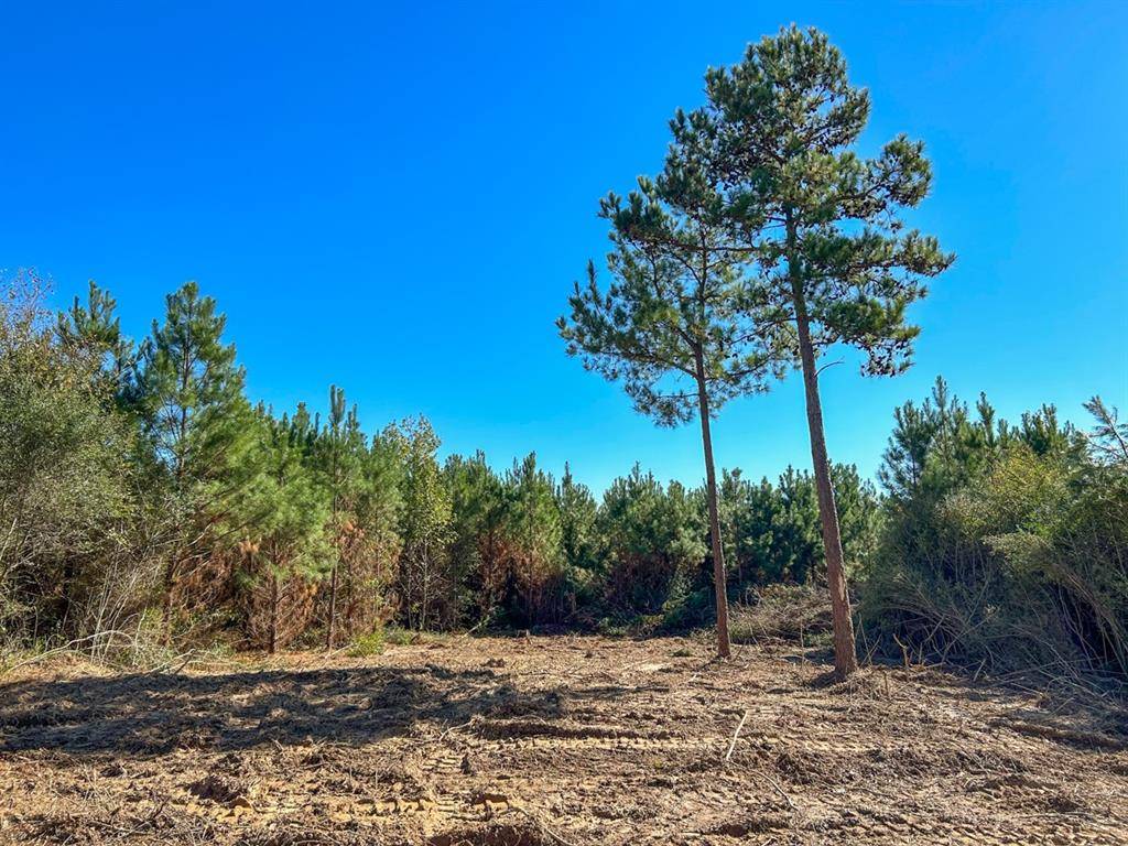 Long Branch, TX 75669,03 CR 3121