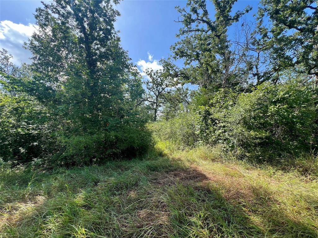 990 Big Berry RD, Somerville, TX 77879