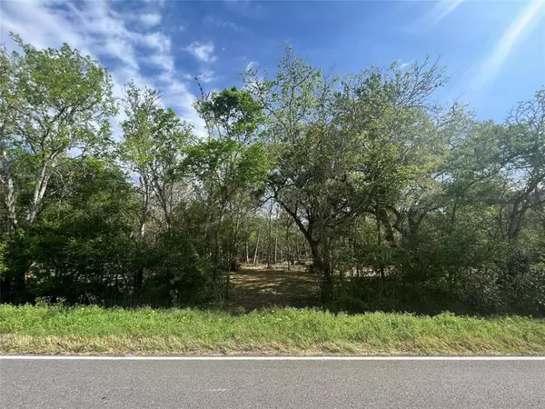 Brazoria, TX 77433,10186 County Road 400