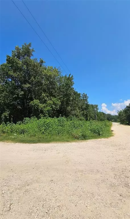 TBD Briar Hill LN, Coldspring, TX 77331