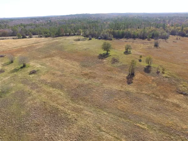 Huntsville, TX 77340,13.14 Acres Tract 4 TBD Percy Howard RD