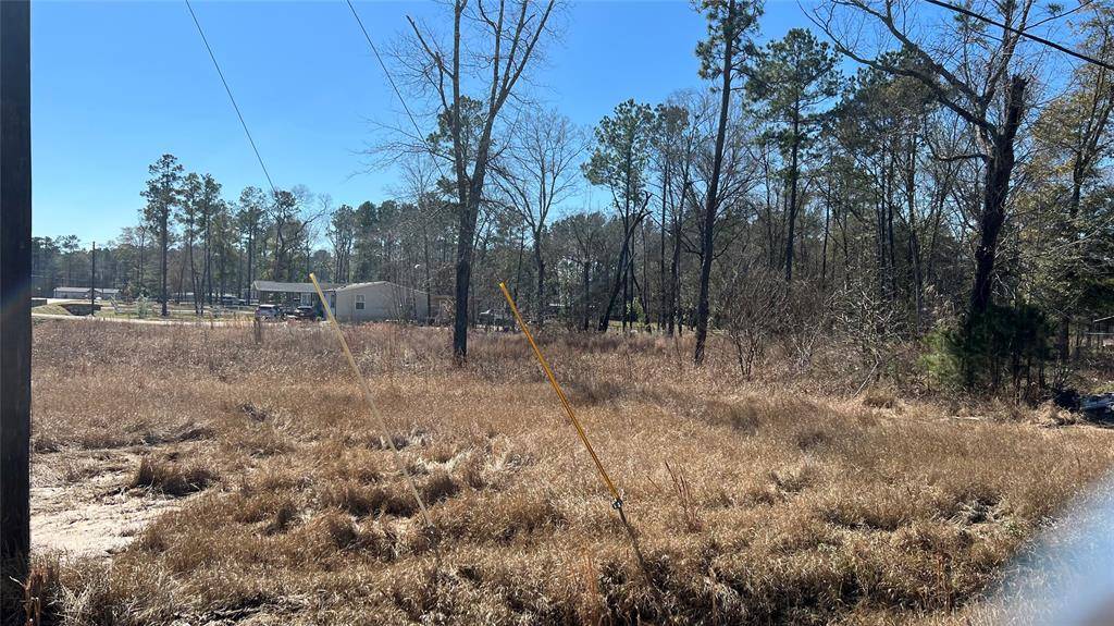 23506 Mayfly LN, New Caney, TX 77357