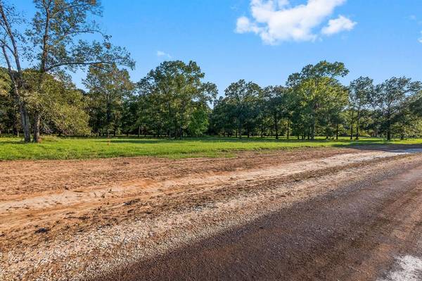 New Waverly, TX 77358,Lot 13 Alans Memorial Lane