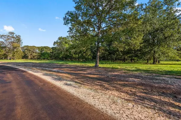 Lot 13 Alans Memorial Lane, New Waverly, TX 77358