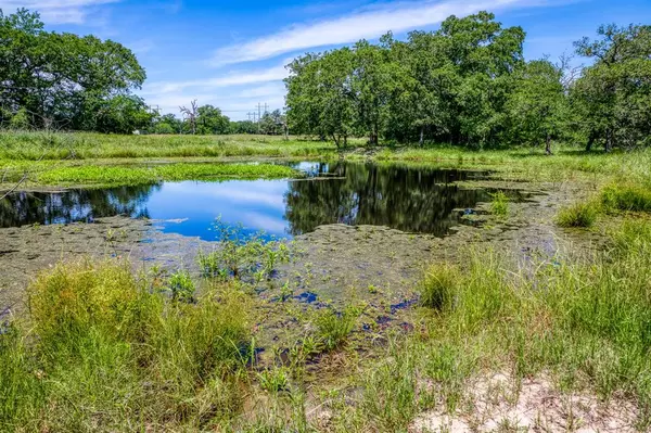 Somerville, TX 77879,TBD (30 Acres) County Road 423