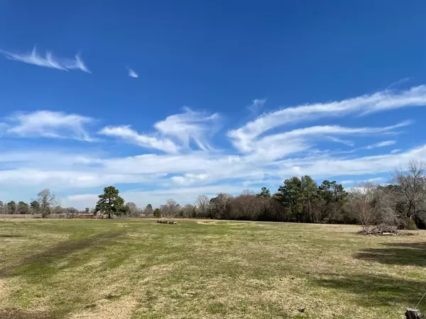 Montgomery, TX 77316,31ac Spring Branch Rd