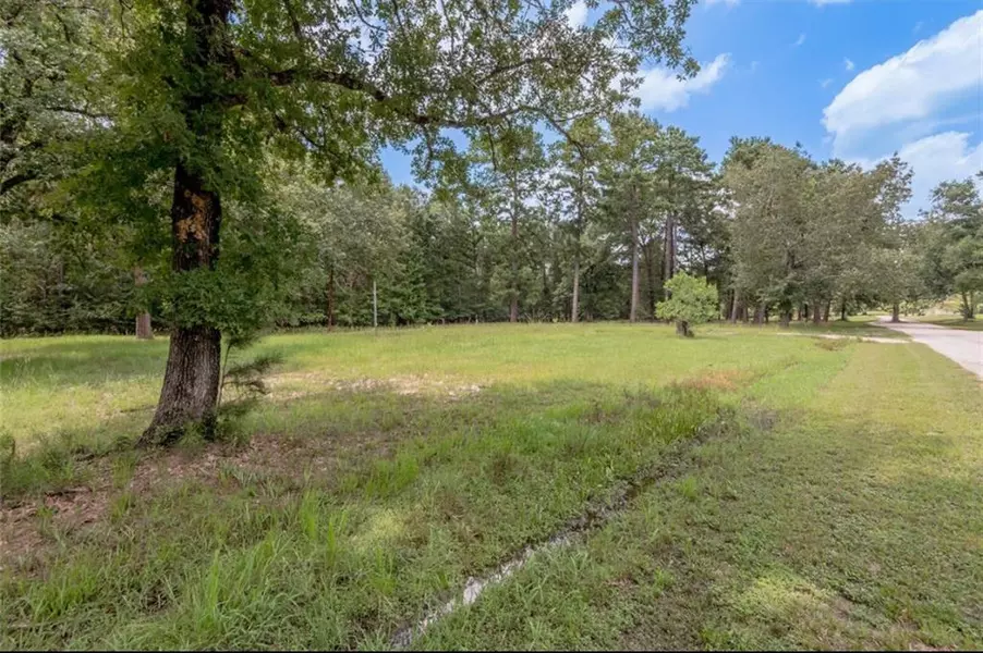 Lot 32 Peach Point LN, Trinity, TX 75862