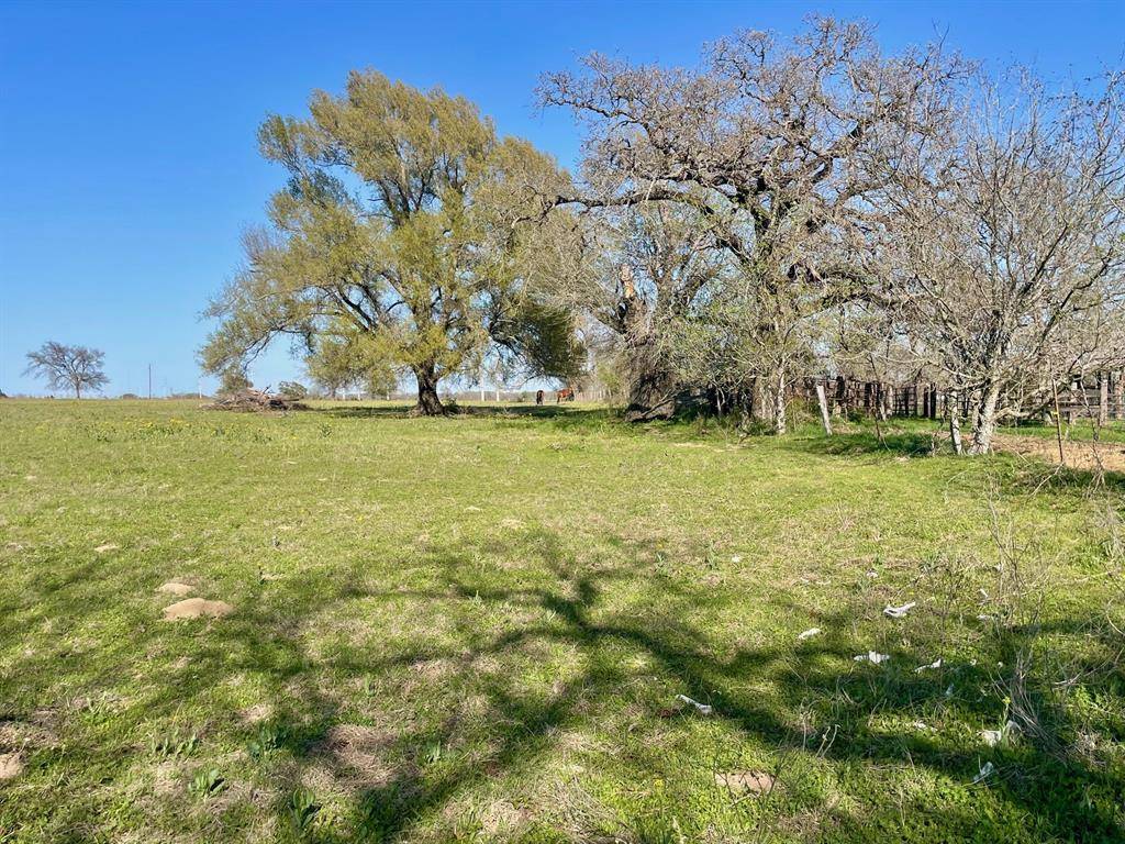 Hearne, TX 77859,TBD Mud Creek RD