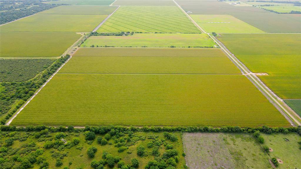 Louise, TX 77455,000 County Road 384