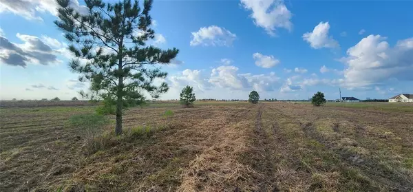 Beaumont, TX 77705,Lot 1 FM 365