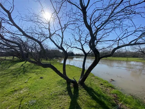 Bremond, TX 76629,60.5 +/-Acres Fm 1373