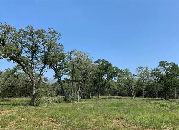 Smithville, TX 78957,TBD High Crossing Road Tract 8