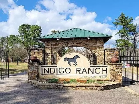 Magnolia, TX 77355,17819 Indigo Hills DR