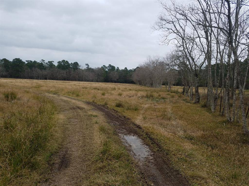 Houston, TX 77338,111 Moonshine Hill/Will Clayton Parkway RD