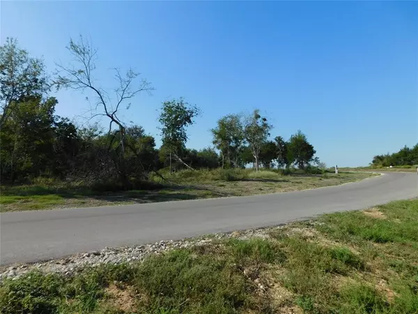 Chappell Hill, TX 77426,Lot 20 Winding Branch LN