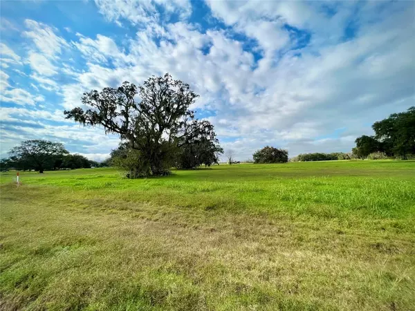 Angleton, TX 77515,1744 Flintlock CT