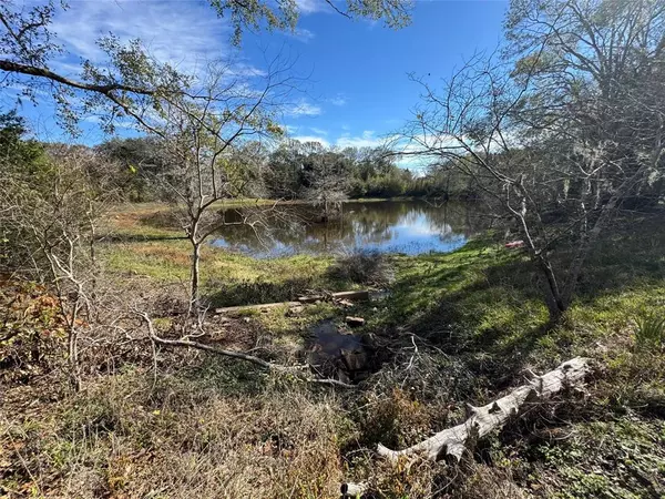 Sweeny, TX 77480,5136 County Road 718