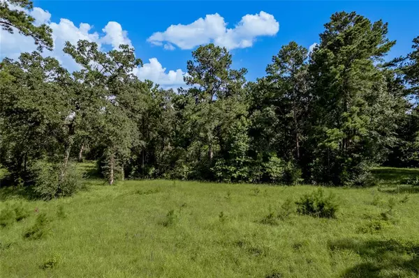 Trinity, TX 75862,Lot 3 and 4 Bay Tree ST