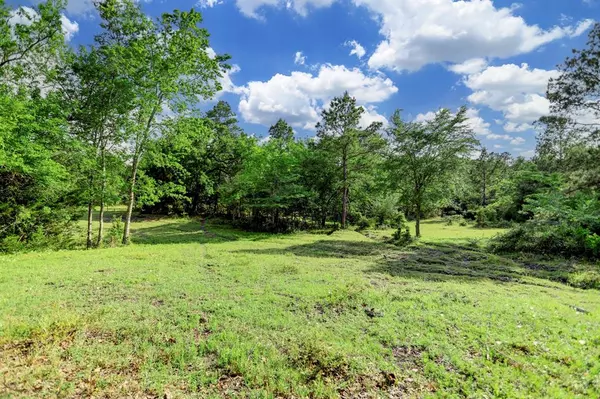 Navasota, TX 77868,0 CR 208