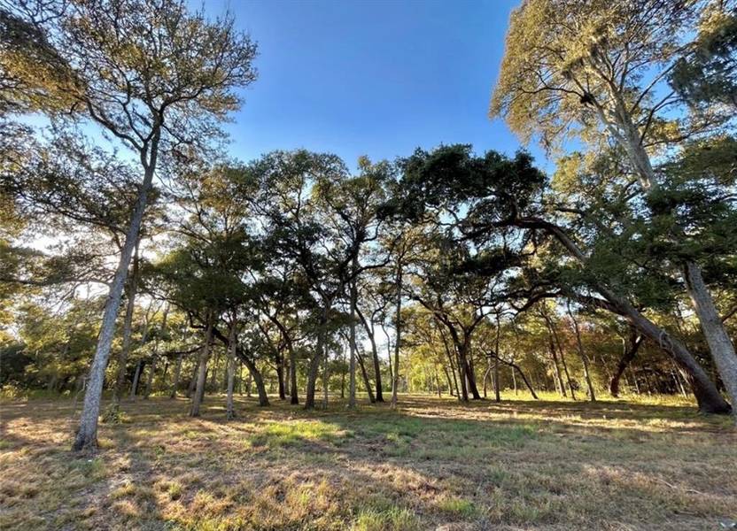 586 Cabana TRL, Angleton, TX 77515