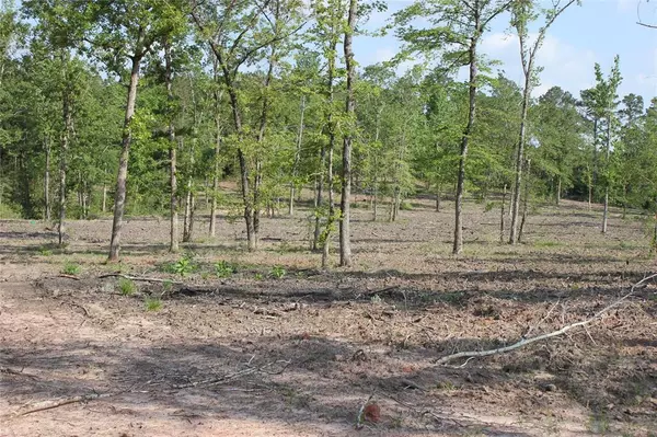 Livingston, TX 77351,Lot 1 FM 3152 RD