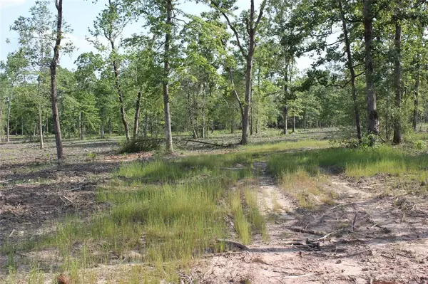 Livingston, TX 77351,Lot 1 FM 3152 RD