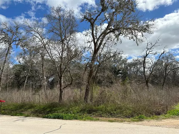 0 Forest LOOP, Angleton, TX 77515