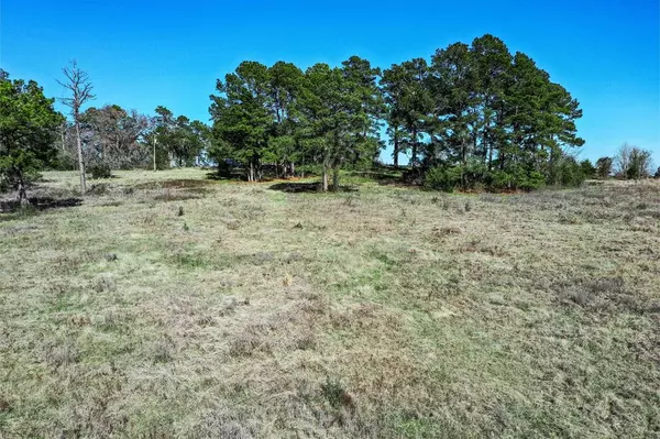 Huntsville, TX 77340,91 Ac FM 1374