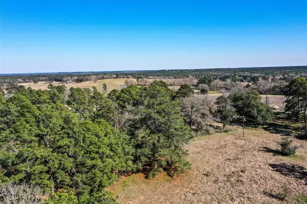 Huntsville, TX 77340,91 Ac FM 1374