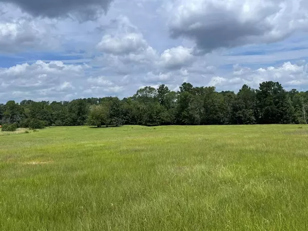 TBD Lakeland Ranch Lot 267, Hillister, TX 77624