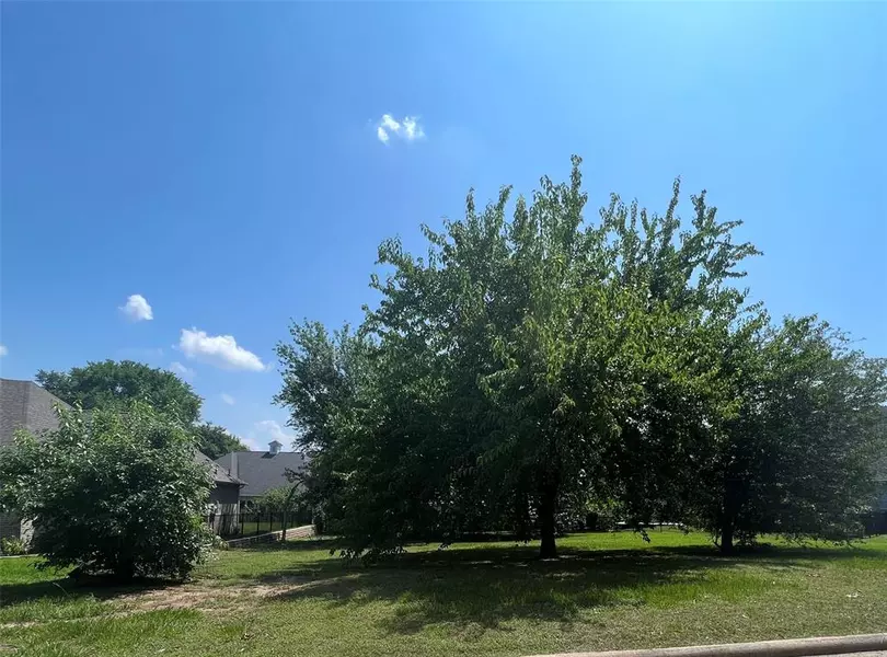 46 Brookgreen cir, Montgomery, TX 77356