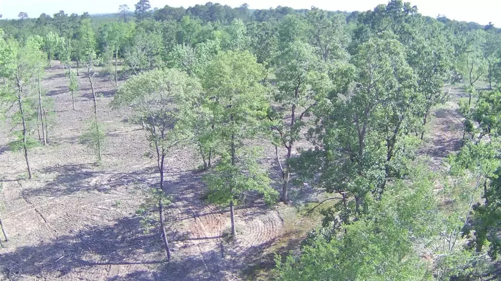 Lot 4 FM 3152 RD, Livingston, TX 77351