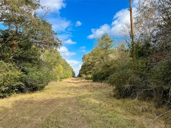 Groesbeck, TX 76642,TBD A County Road 800