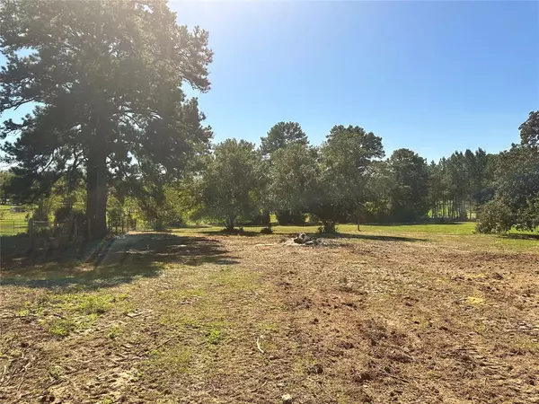 Willis, TX 77378,14786 Cedar Lane LOOP