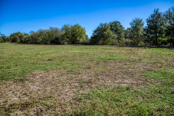 Brenham, TX 77833,08 Sawmill Road Tract 8