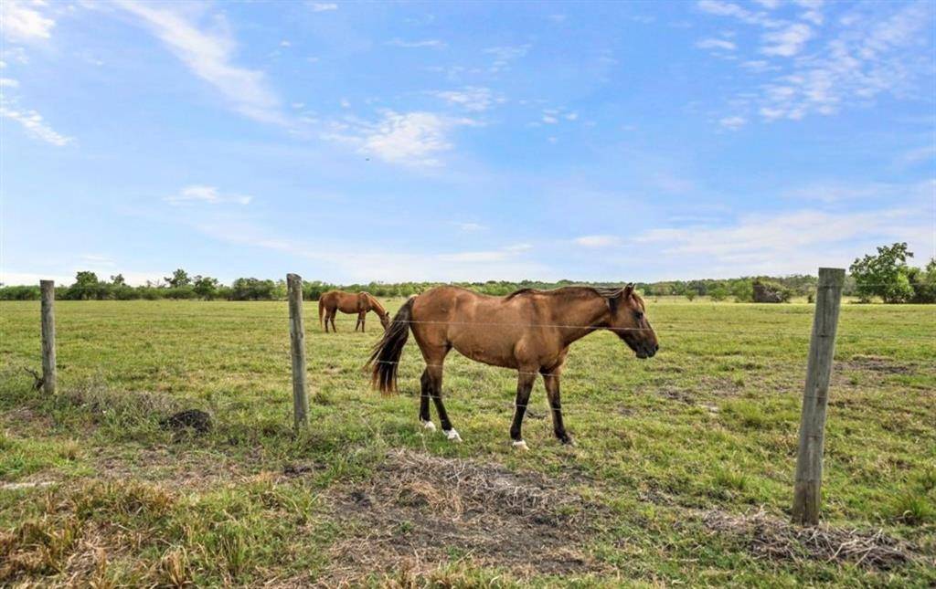 Guy, TX 77444,00 County Road 522